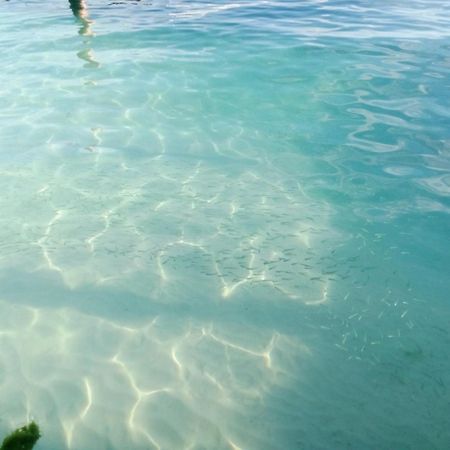 Hidden Island Glamping Isla Mujeres Hotell Exteriör bild