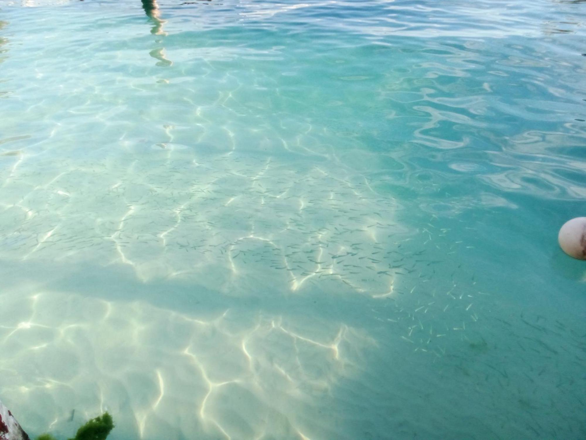 Hidden Island Glamping Isla Mujeres Hotell Exteriör bild